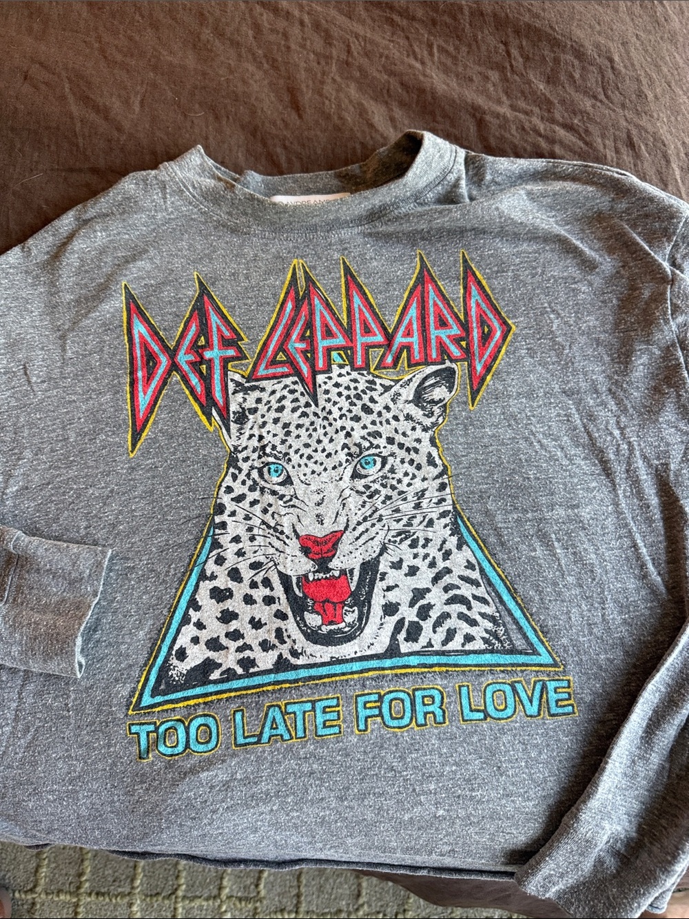 Daydreamer Def Leppard Gray Graphic Sweatshirt with Leopard